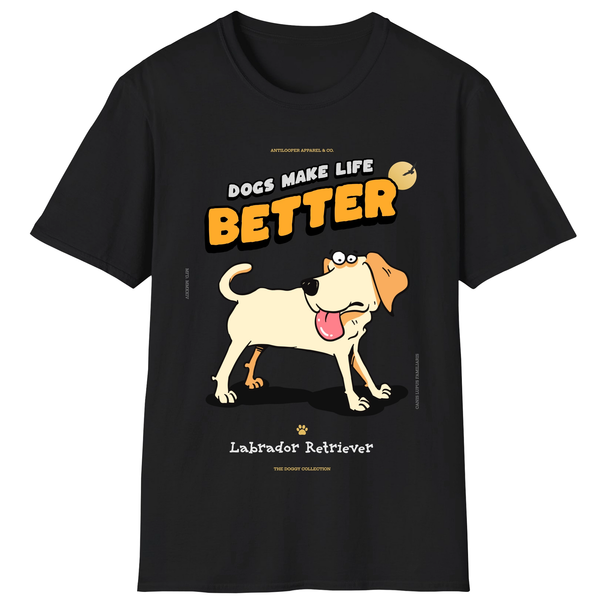 flatlay-doggy-labrador_retriever-black