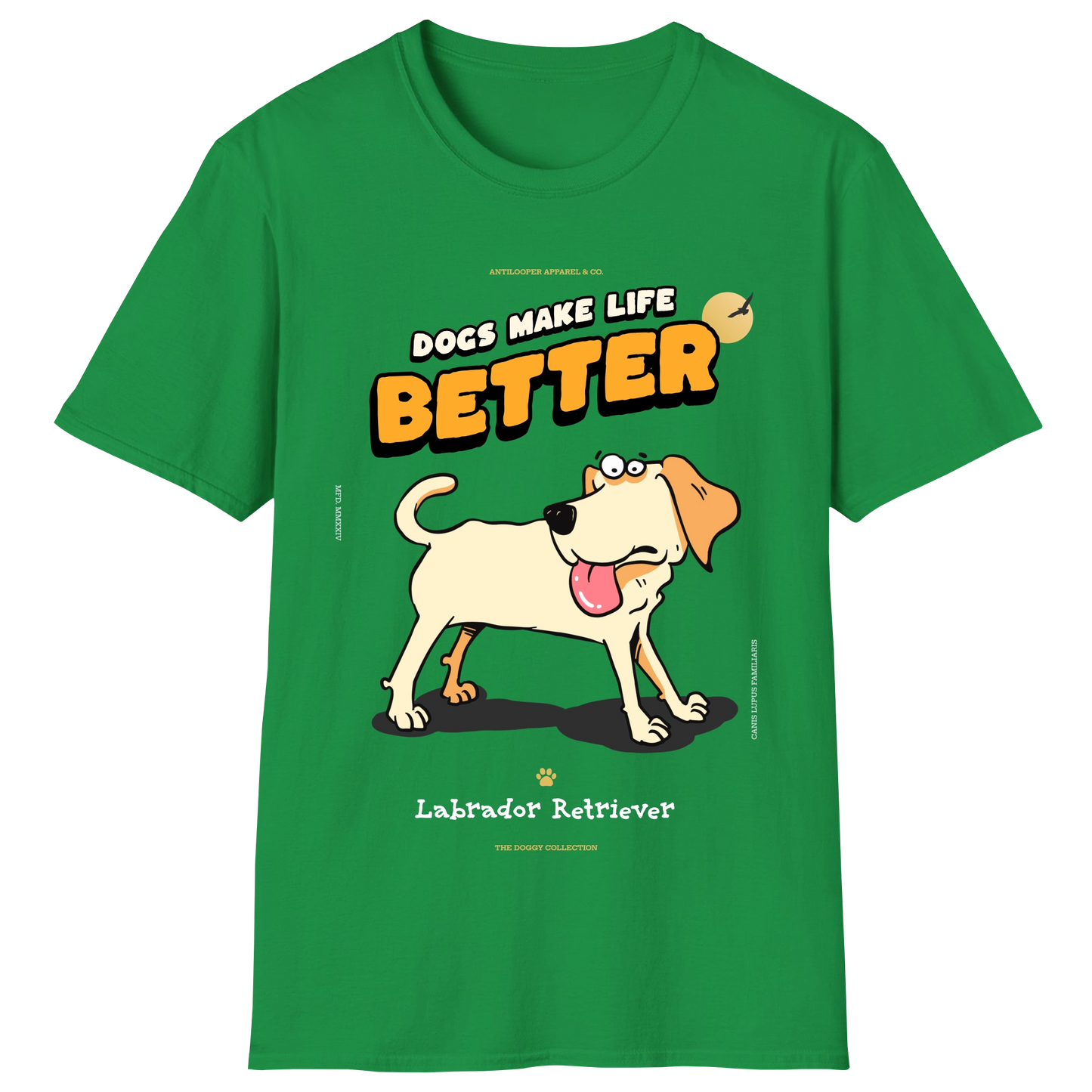 flatlay-doggy-labrador_retriever-irish_green