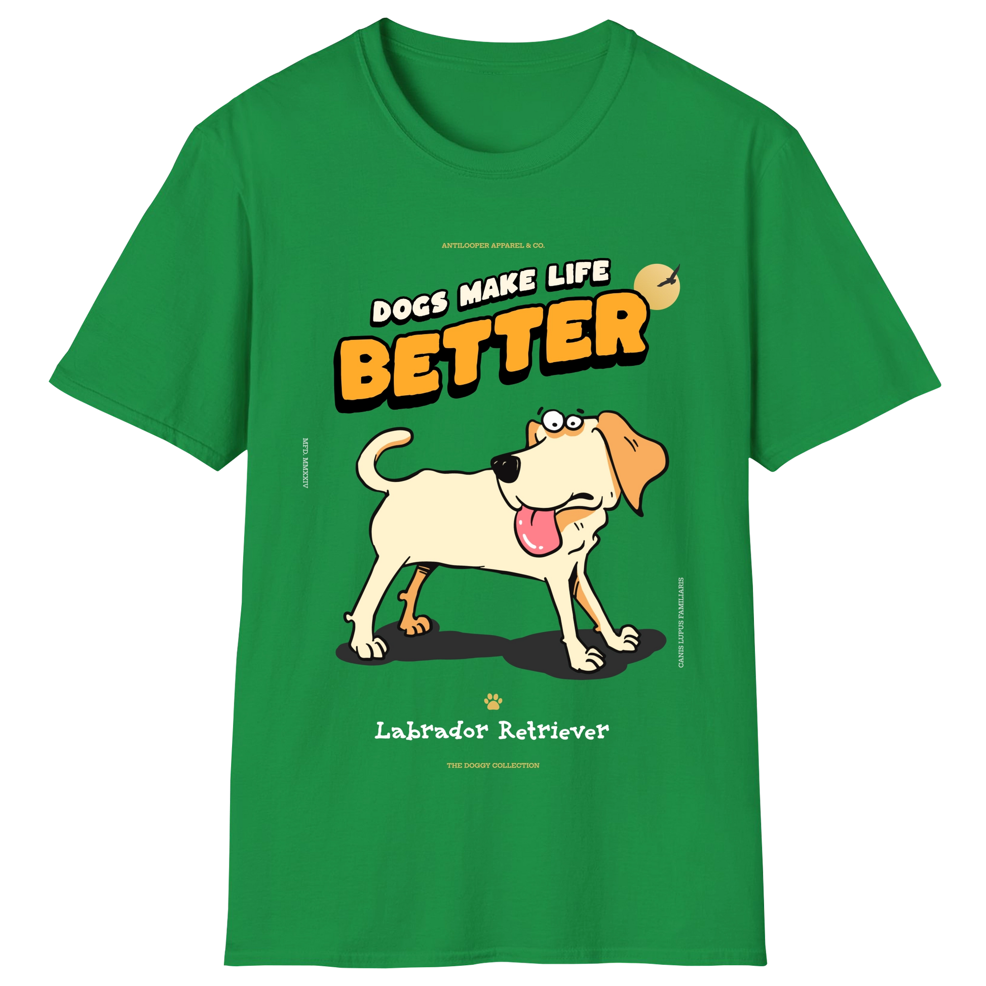 flatlay-doggy-labrador_retriever-irish_green