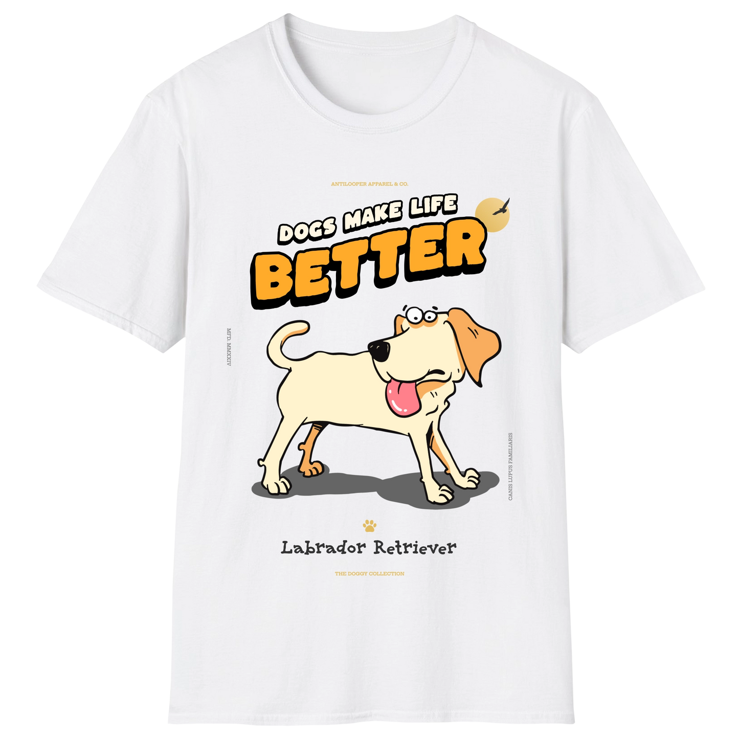 flatlay-doggy-labrador_retriever-white