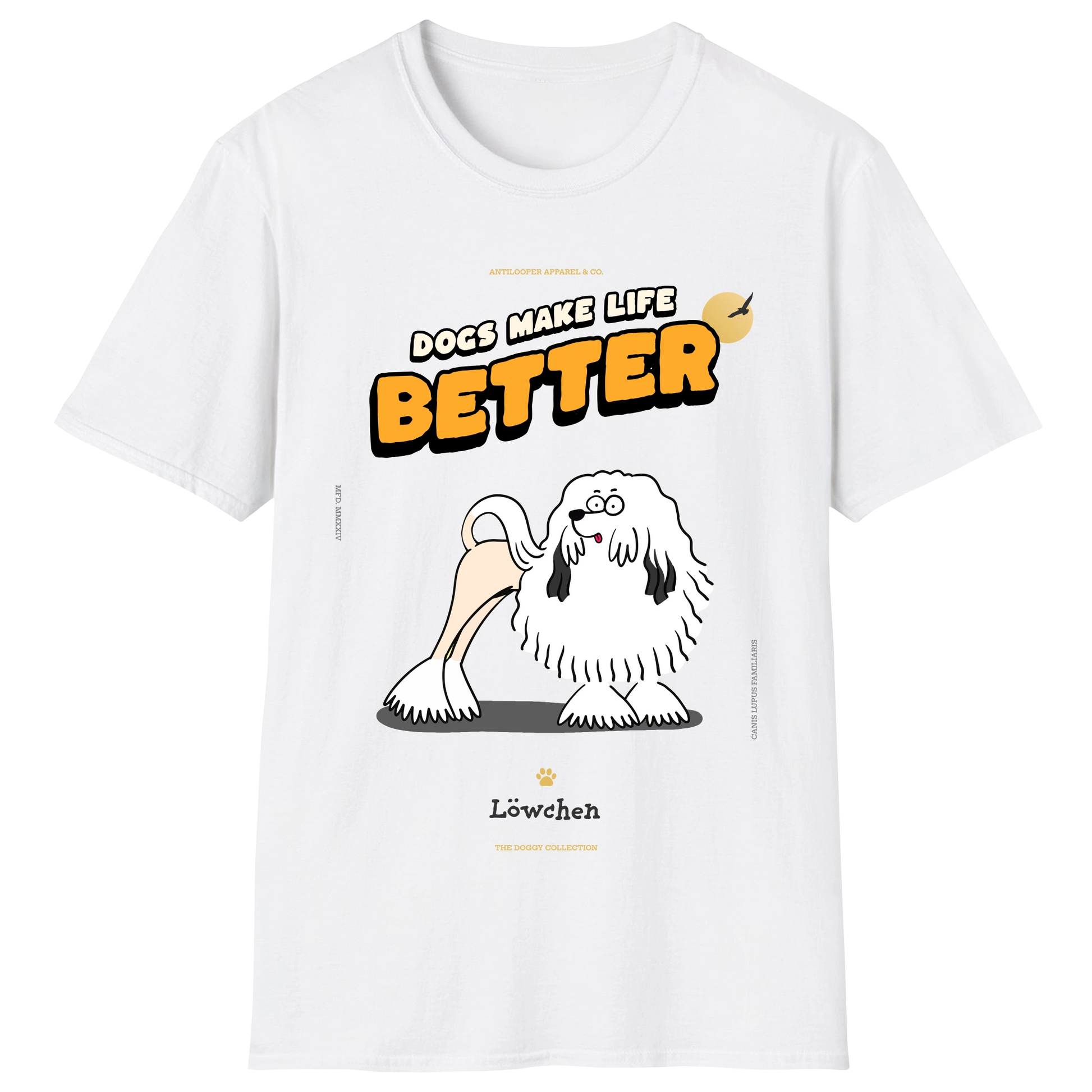 flatlay-doggy-lowchen-white