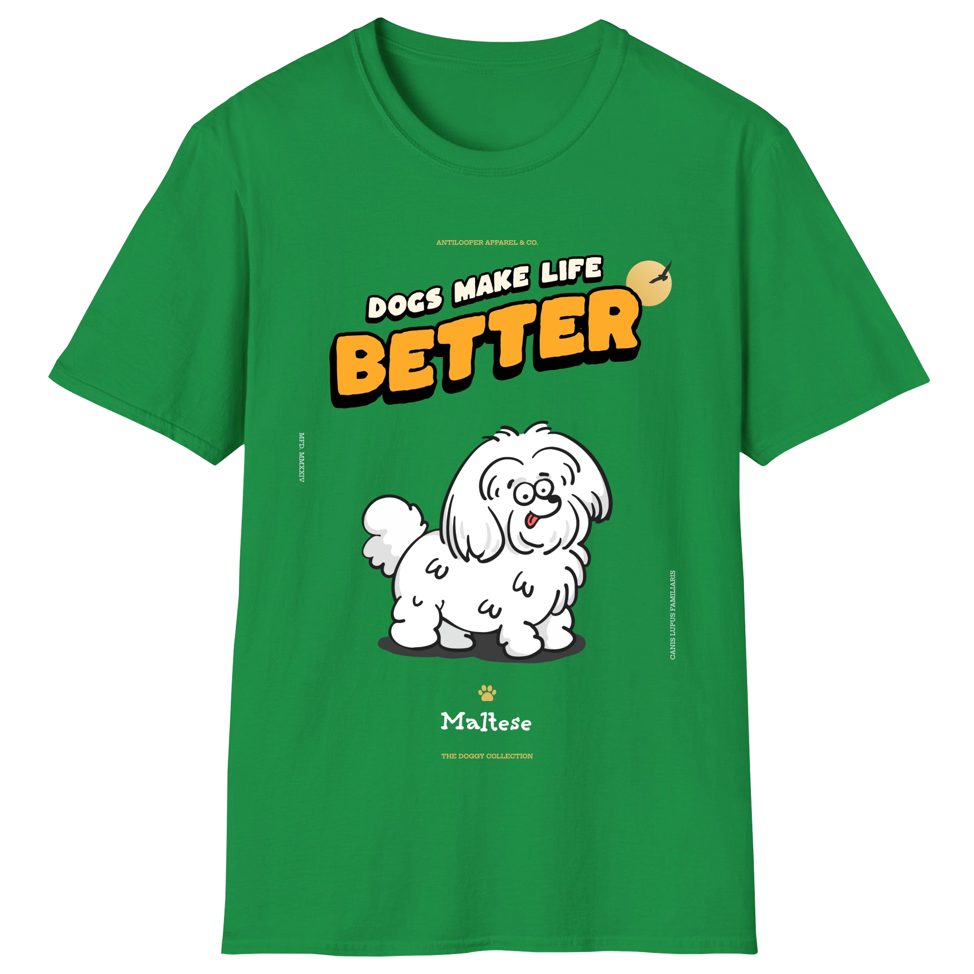 flatlay-doggy-maltese-irish_green