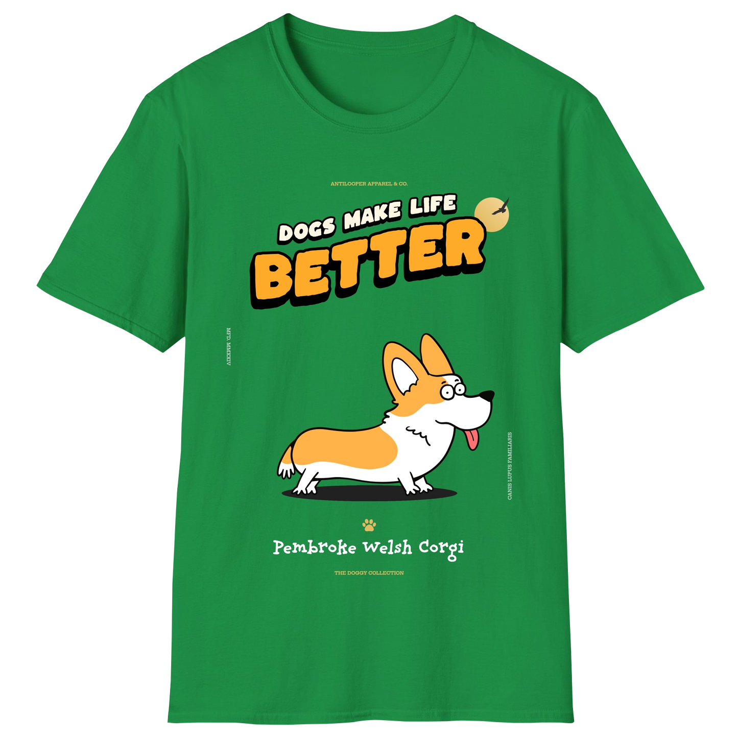 flatlay-doggy-pembroke_welsh_corgi-irish_green