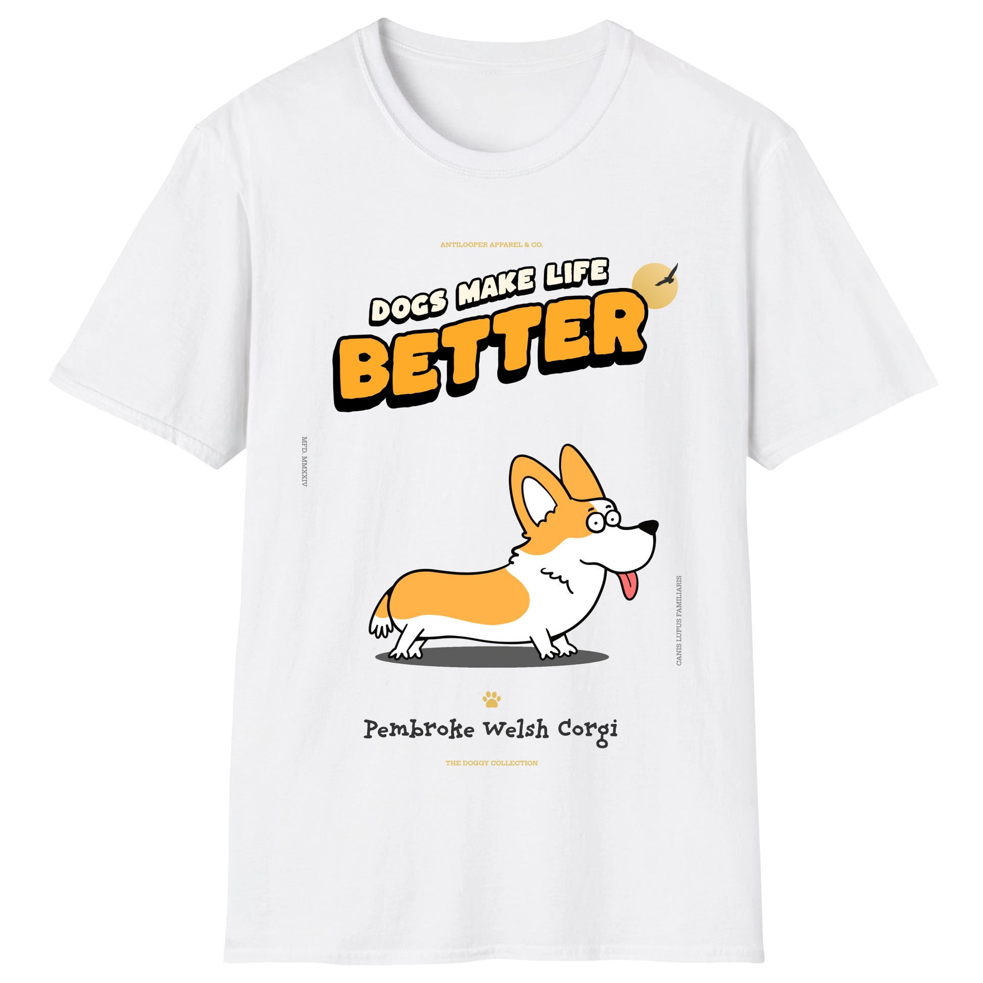 flatlay-doggy-pembroke_welsh_corgi-white