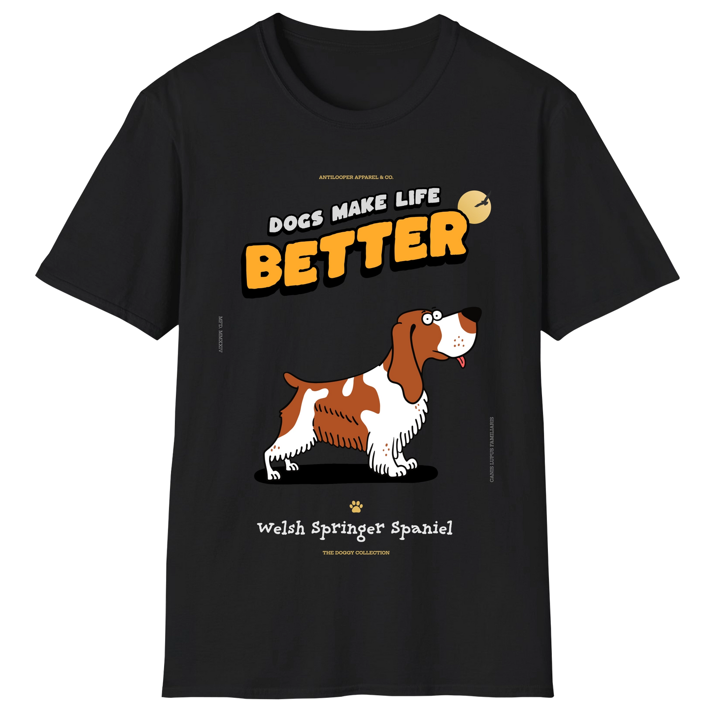 flatlay-doggy-welsh_springer_spaniel-black