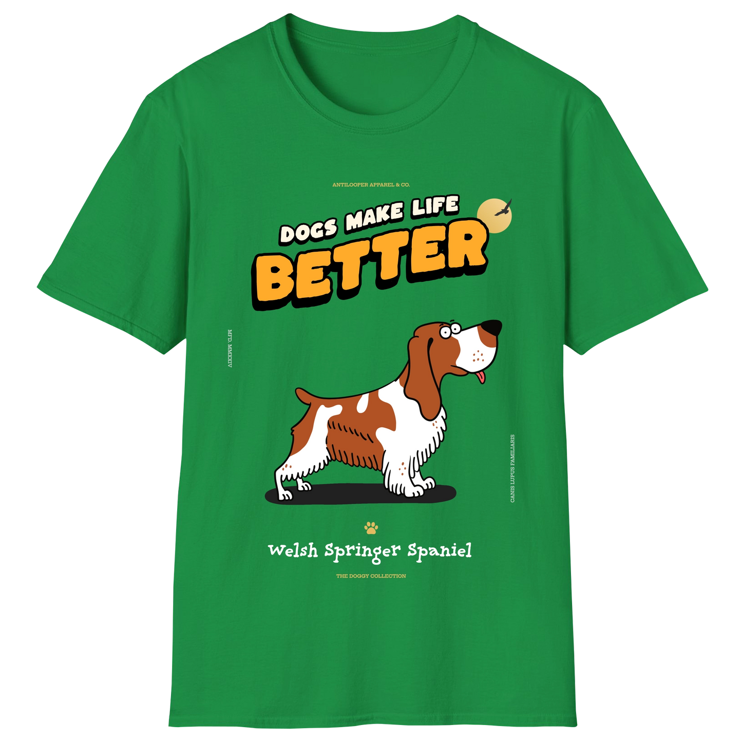 flatlay-doggy-welsh_springer_spaniel-irish_green