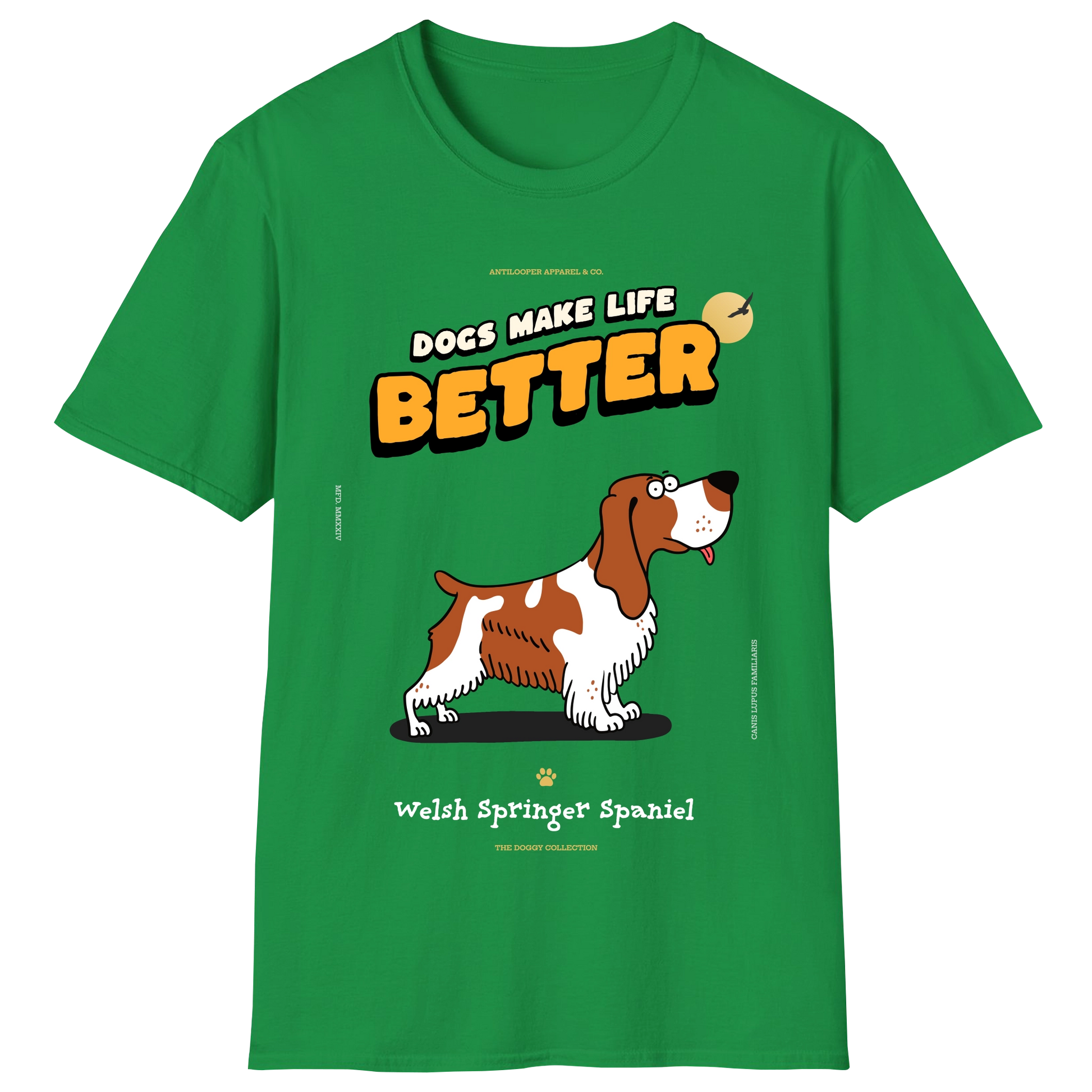 flatlay-doggy-welsh_springer_spaniel-irish_green