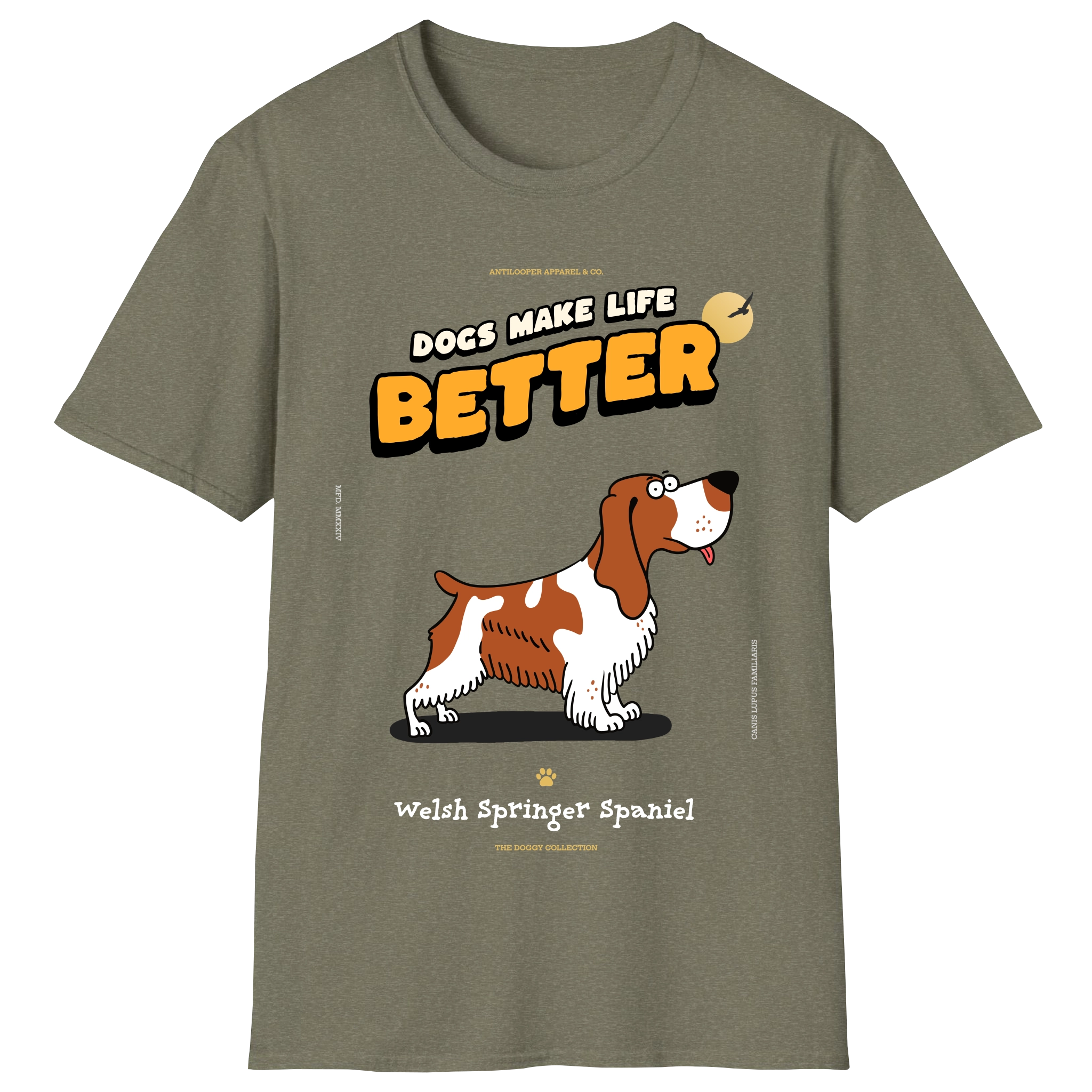 flatlay-doggy-welsh_springer_spaniel-military_green