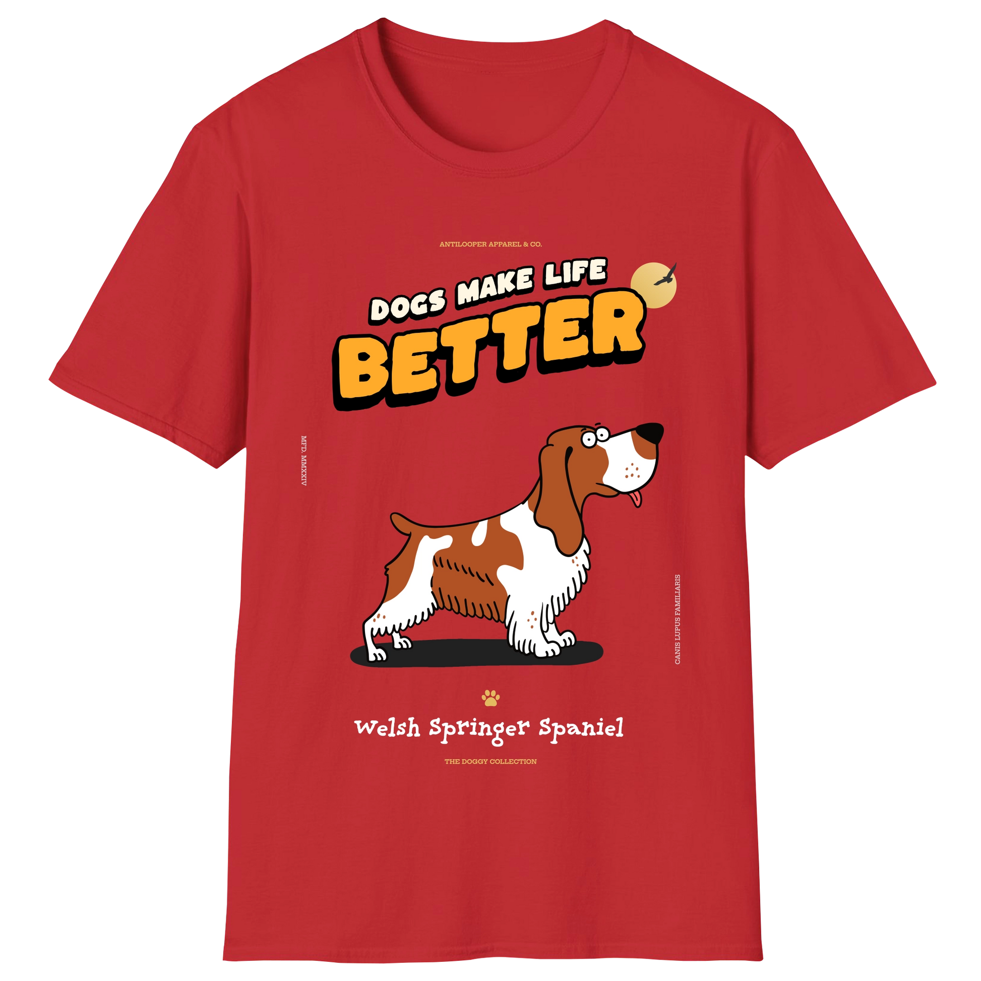 flatlay-doggy-welsh_springer_spaniel-red