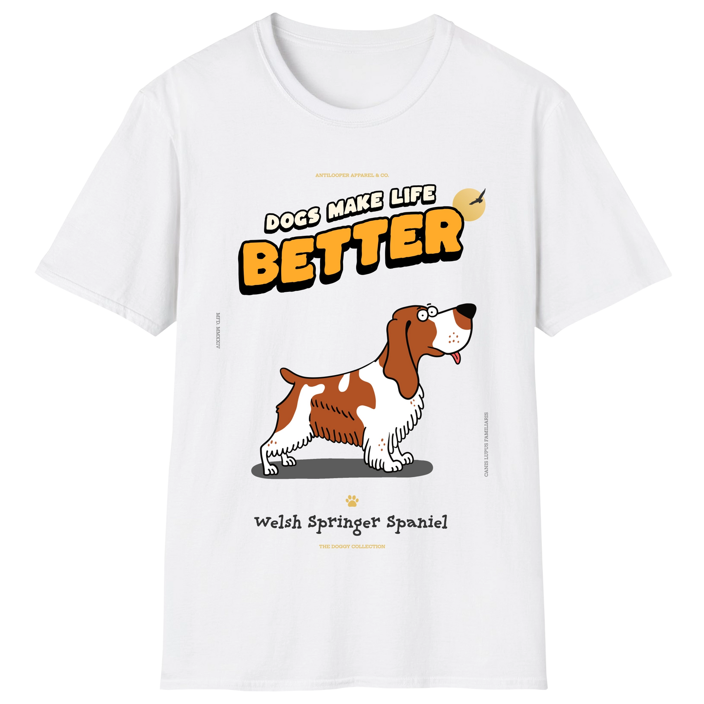 flatlay-doggy-welsh_springer_spaniel-white