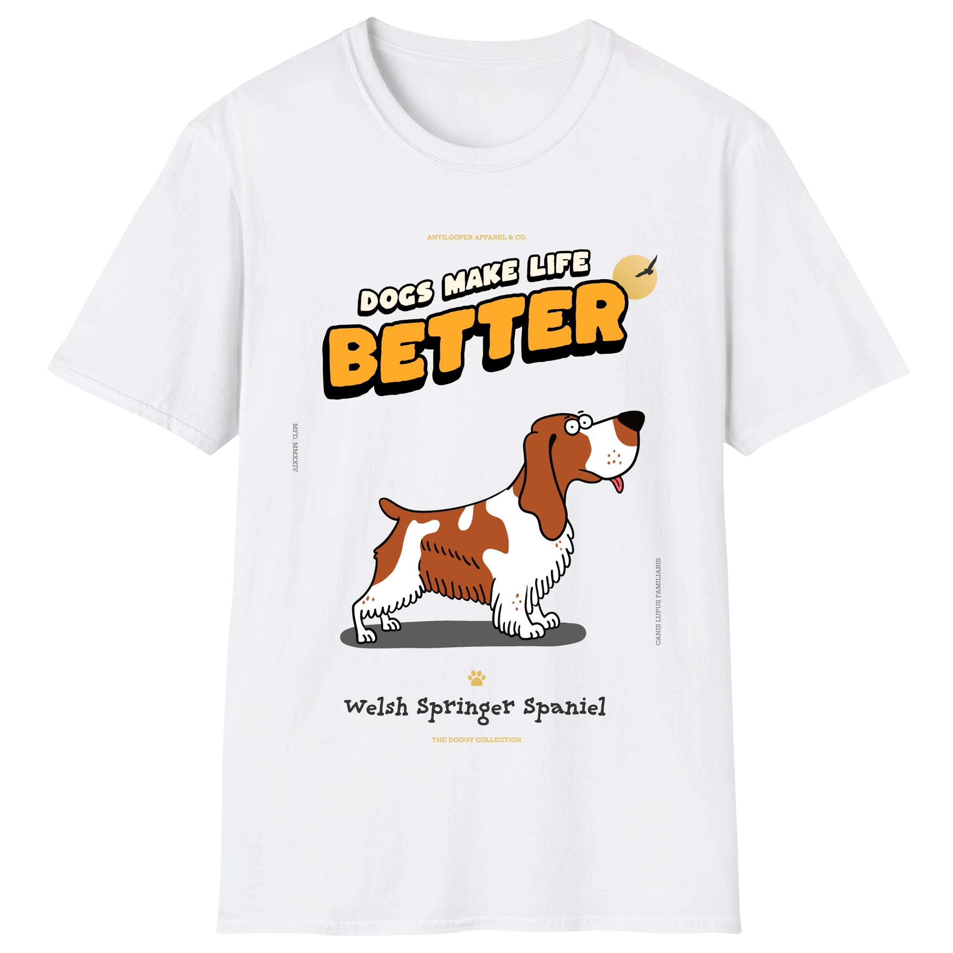 flatlay-doggy-welsh_springer_spaniel-white