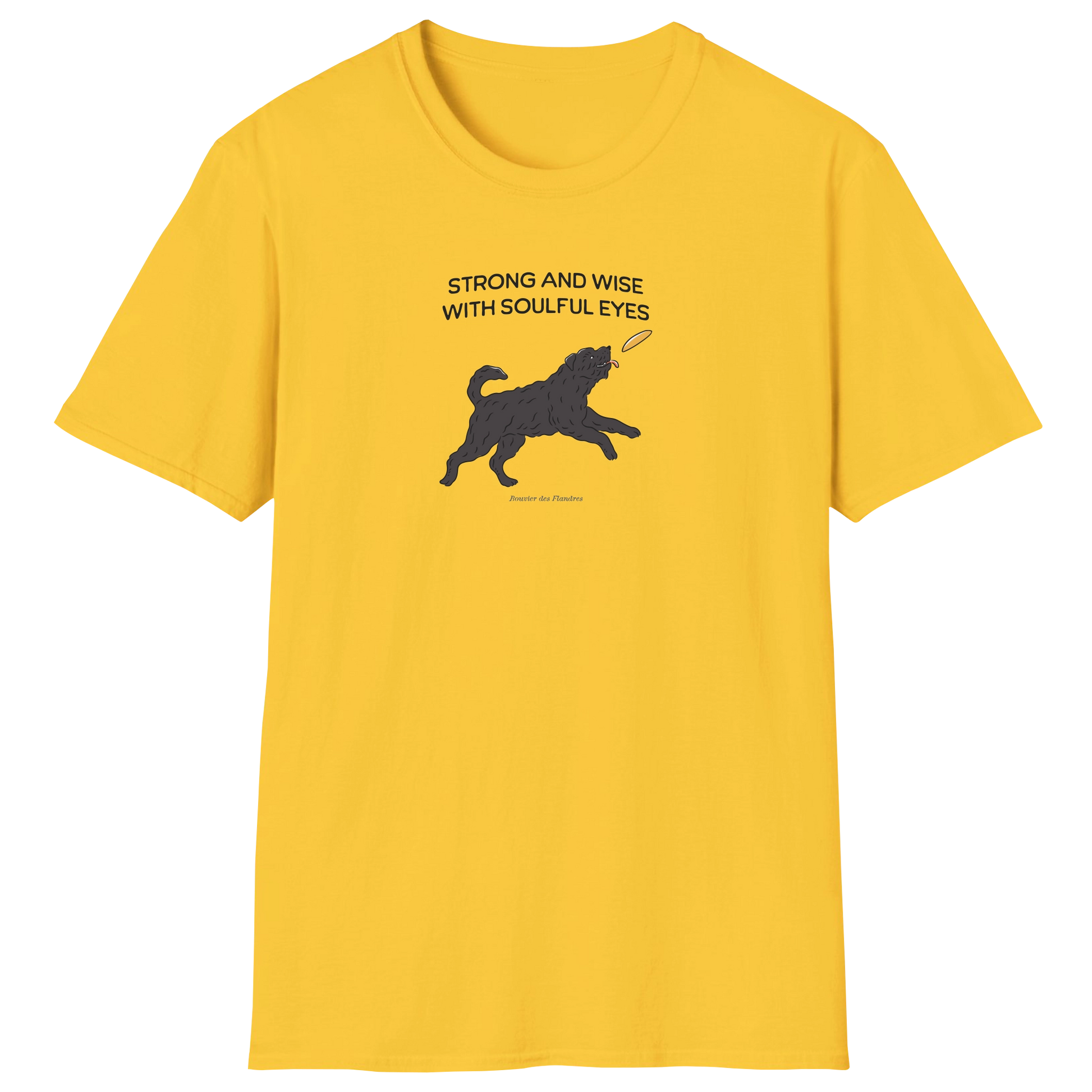 flatlay-fido-bouvier_des_flandres-t_shirt-daisy