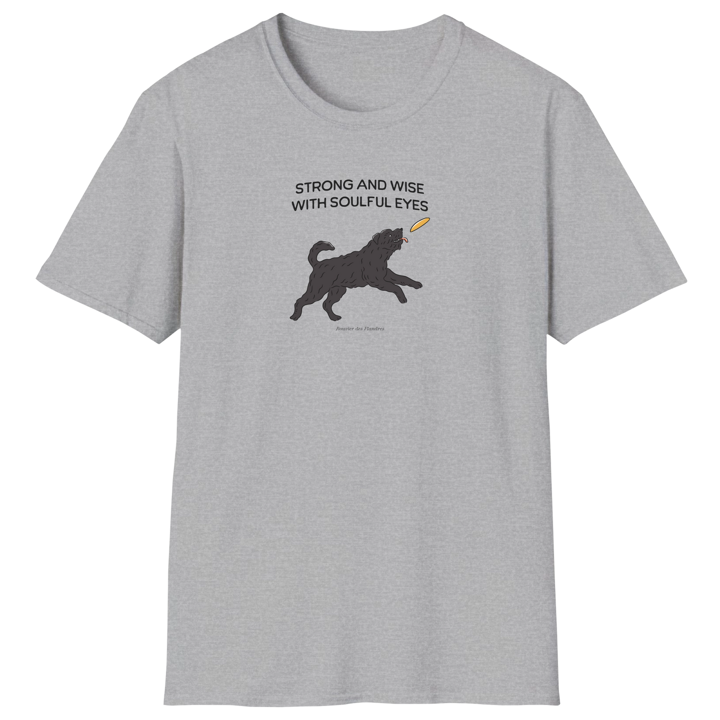 flatlay-fido-bouvier_des_flandres-t_shirt-sport_grey