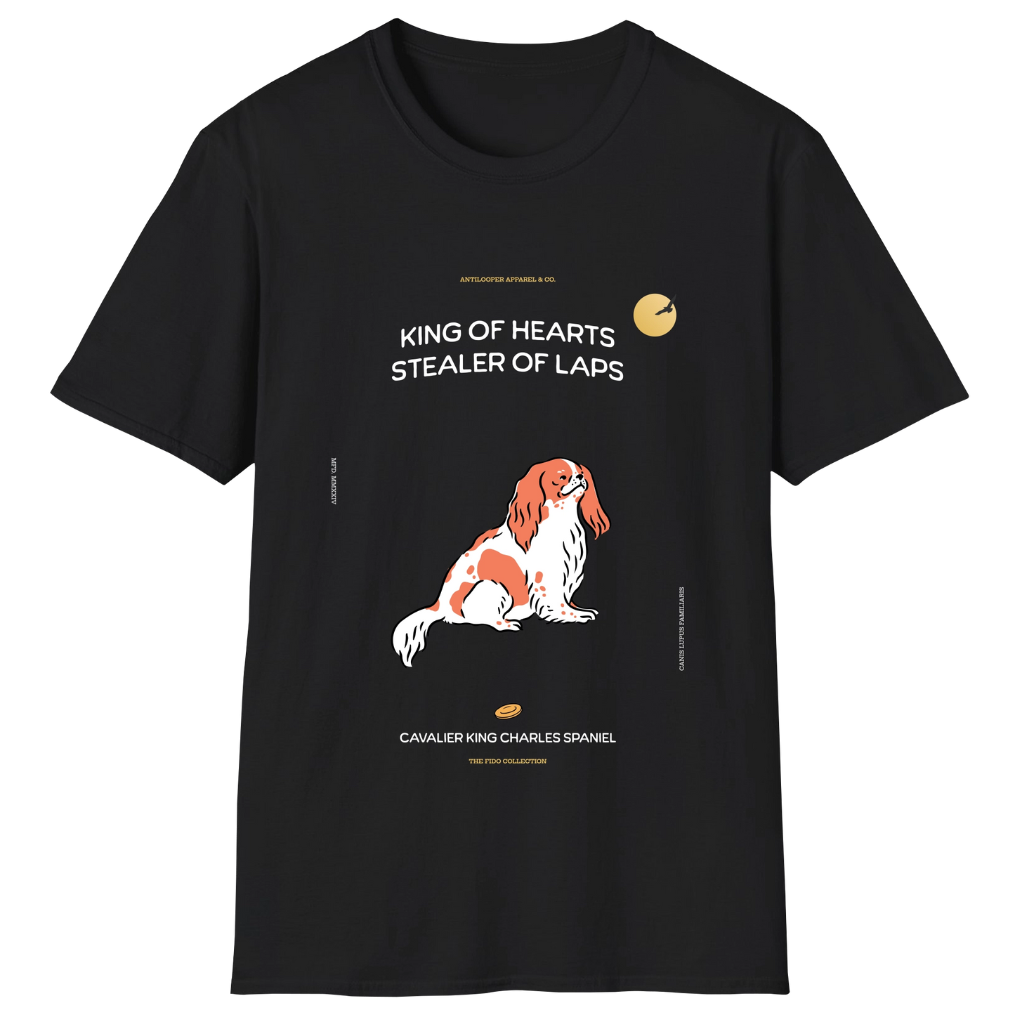 flatlay-fido-cavalier_king_charles_spaniel-black