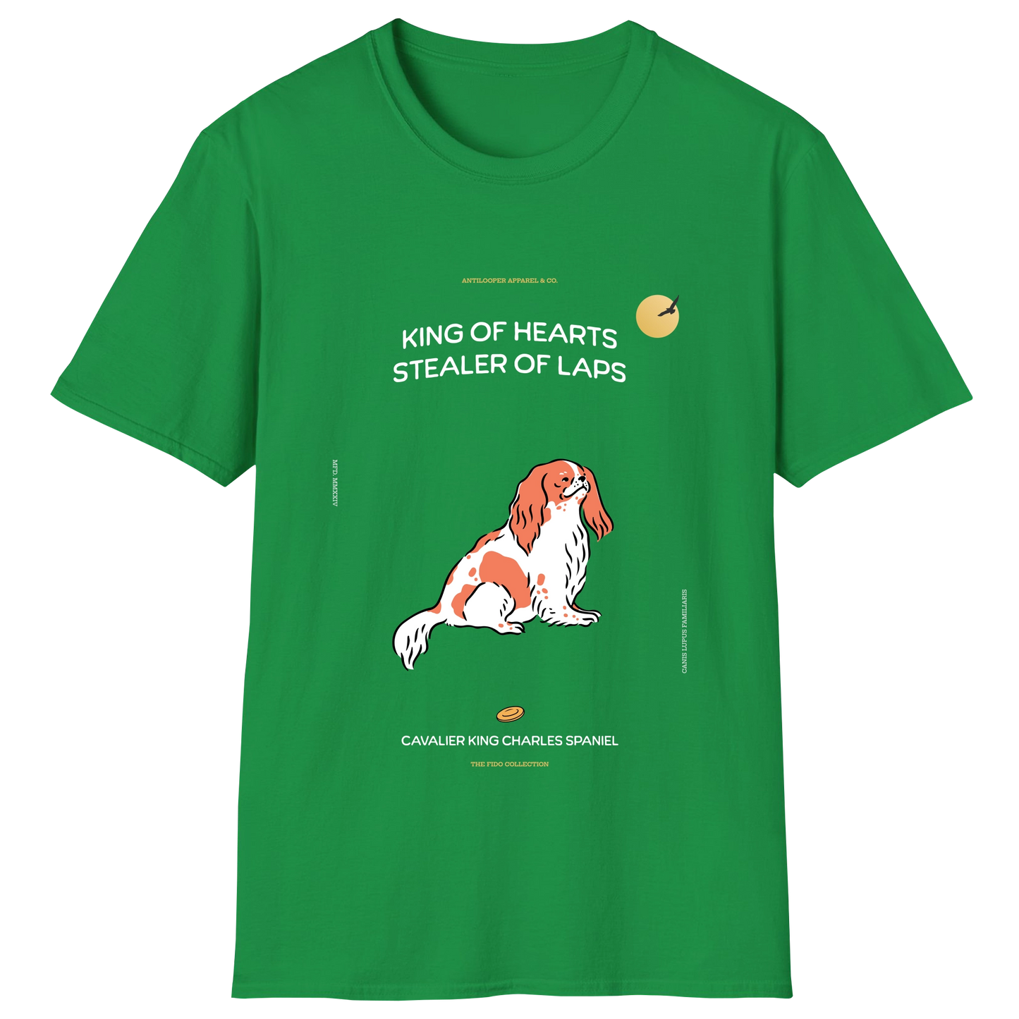 flatlay-fido-cavalier_king_charles_spaniel-irish_green