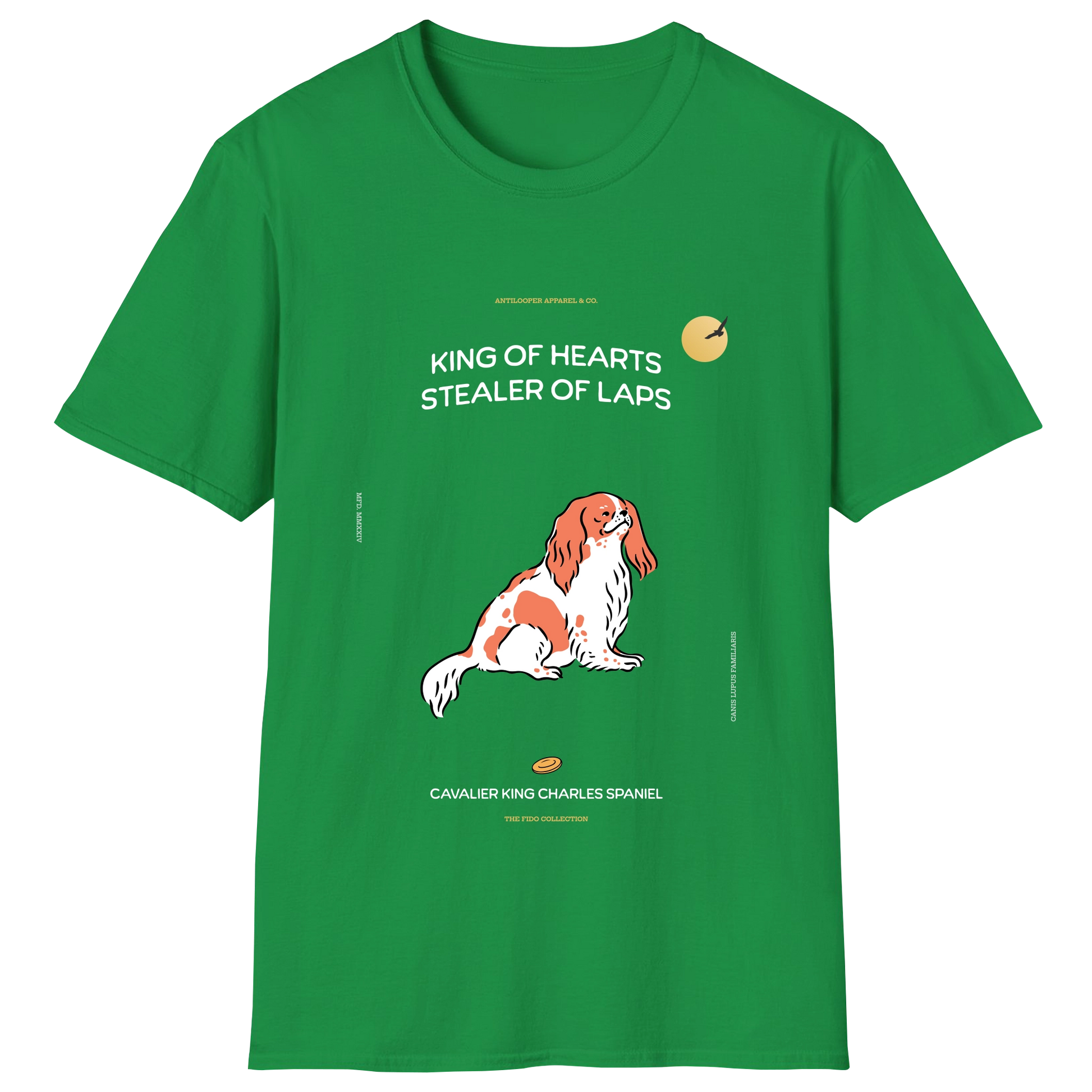 flatlay-fido-cavalier_king_charles_spaniel-irish_green