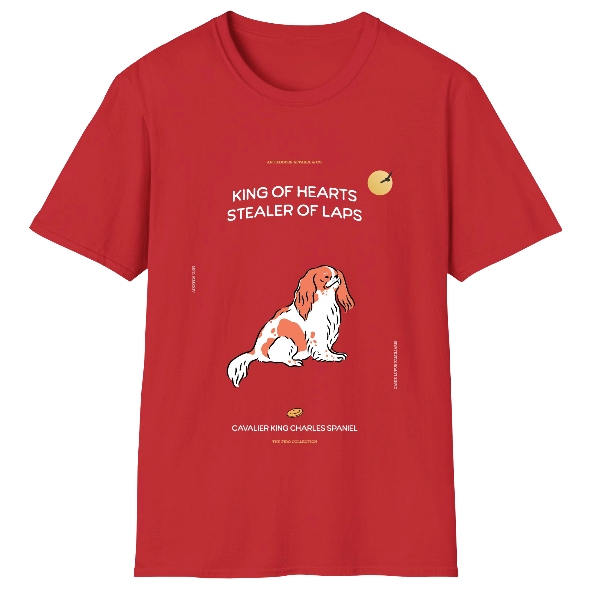 flatlay-fido-cavalier_king_charles_spaniel-red