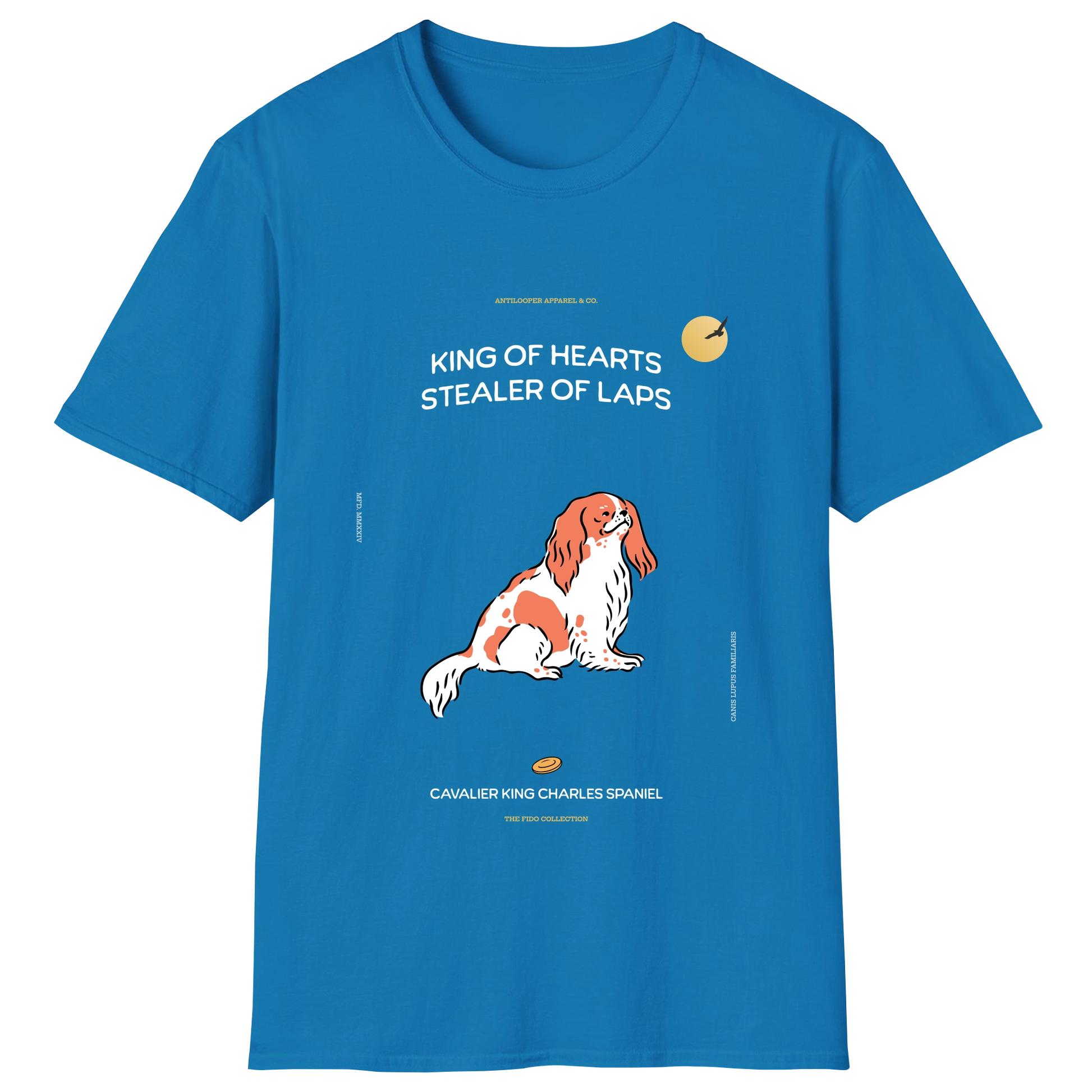 flatlay-fido-cavalier_king_charles_spaniel-sapphire