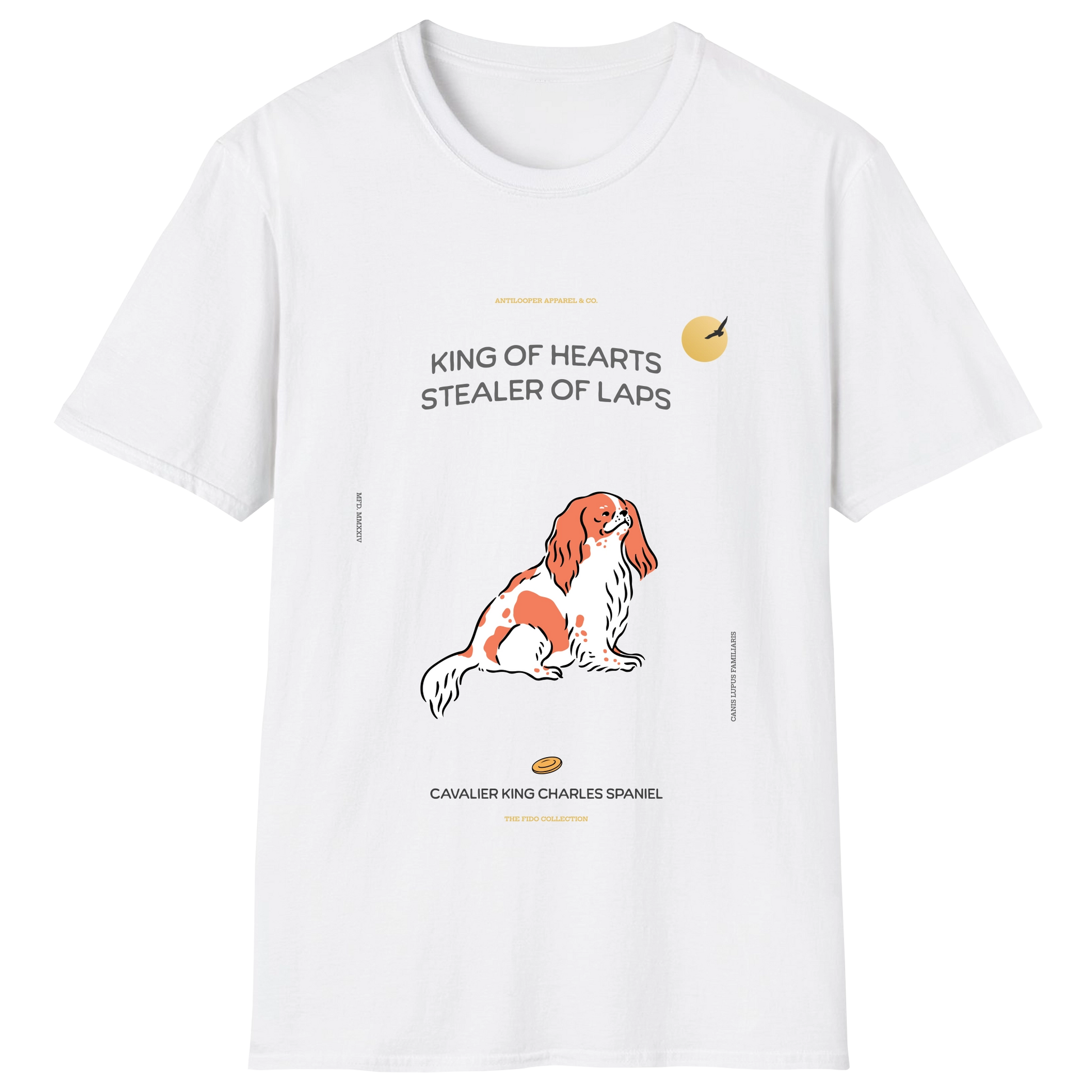 flatlay-fido-cavalier_king_charles_spaniel-white