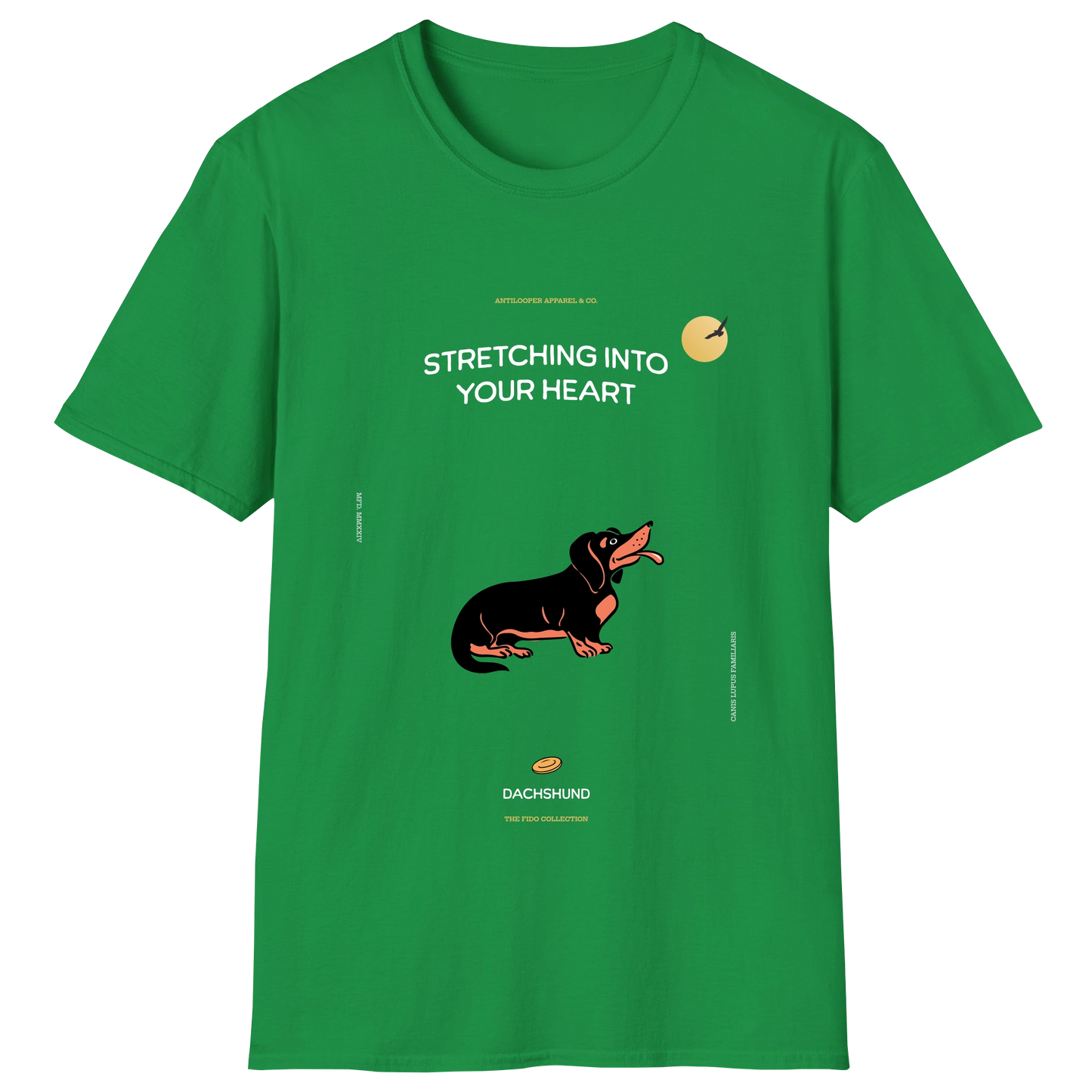 flatlay-fido-dachshund-irish_green