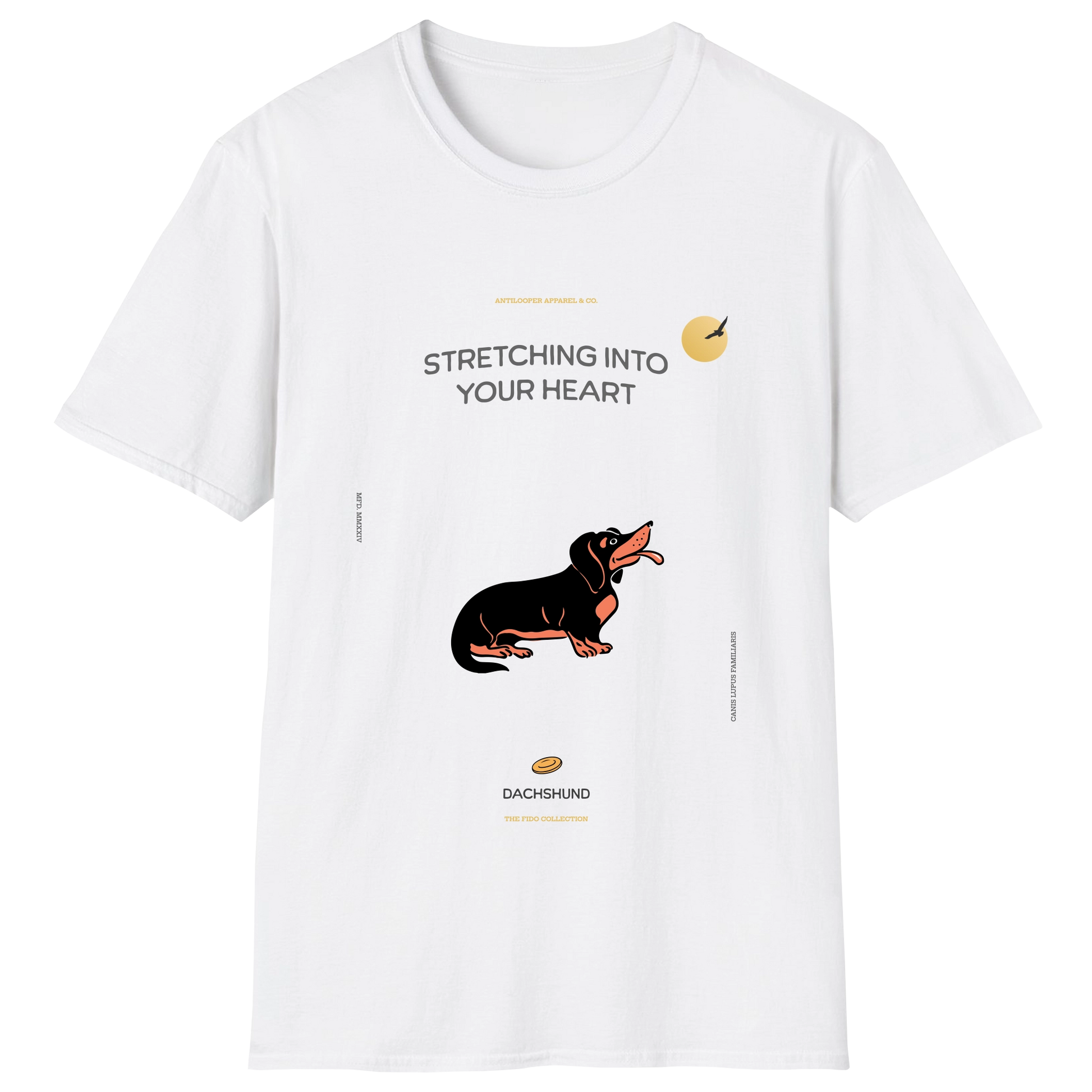 flatlay-fido-dachshund-white