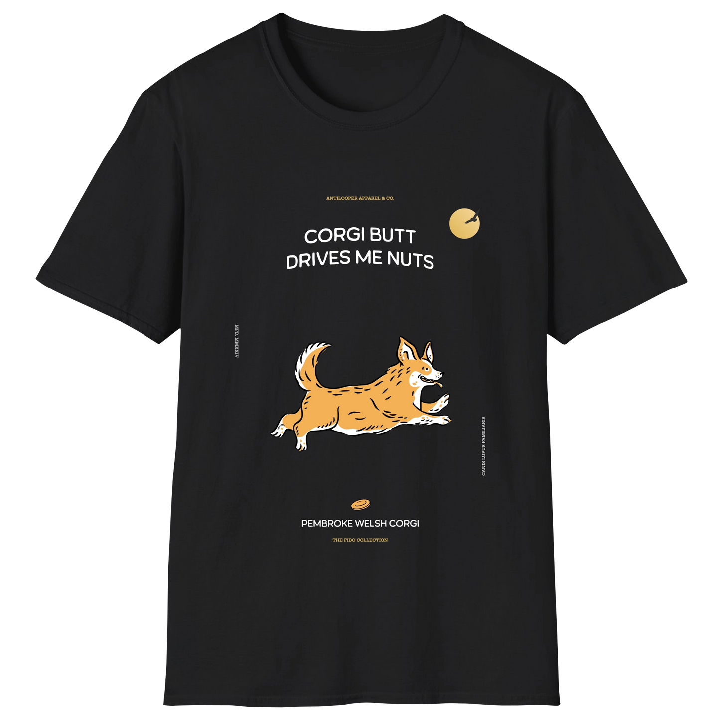 flatlay-fido-pembroke_welsh_corgi-black