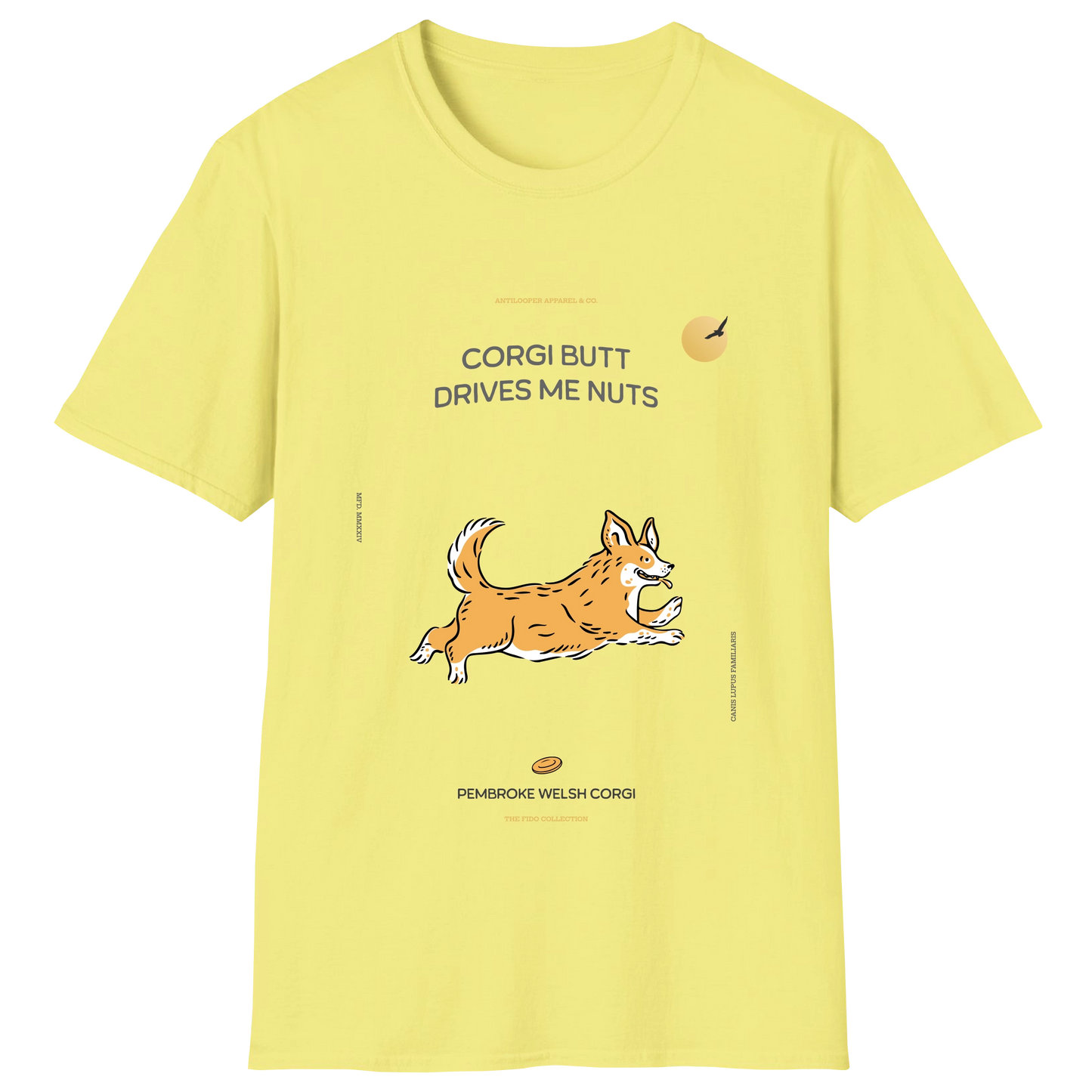 flatlay-fido-pembroke_welsh_corgi-cornsilk