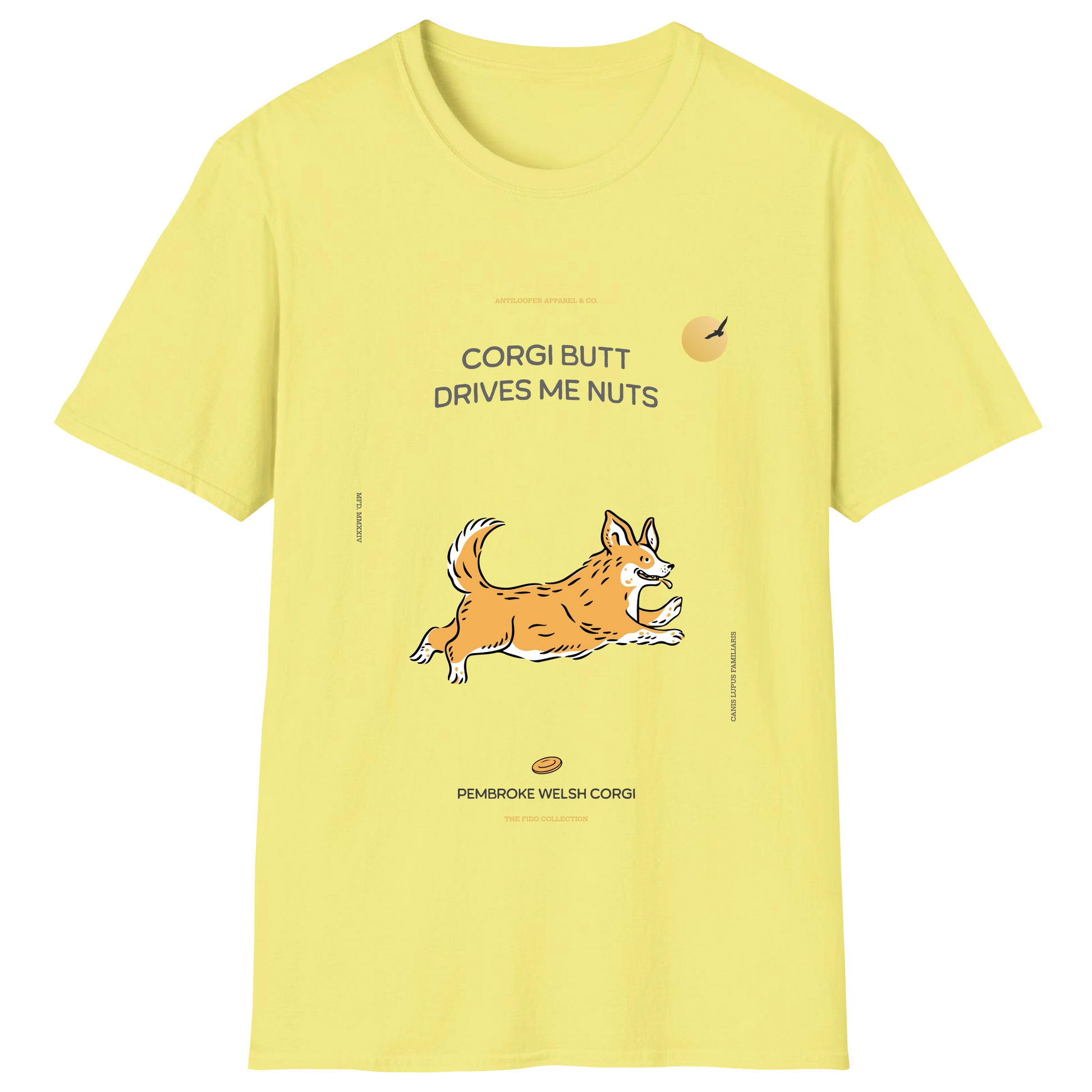 flatlay-fido-pembroke_welsh_corgi-cornsilk