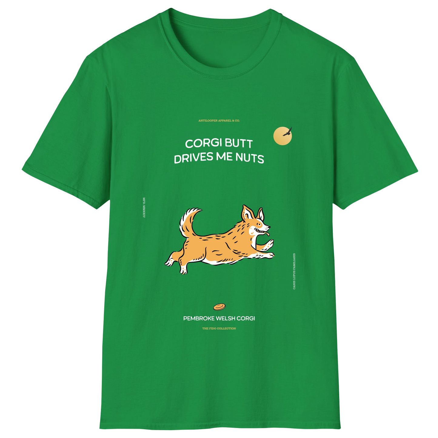 flatlay-fido-pembroke_welsh_corgi-irish_green