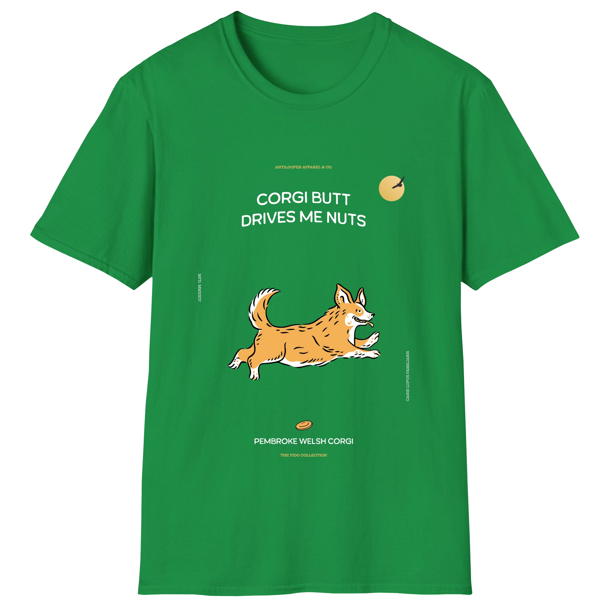 flatlay-fido-pembroke_welsh_corgi-irish_green