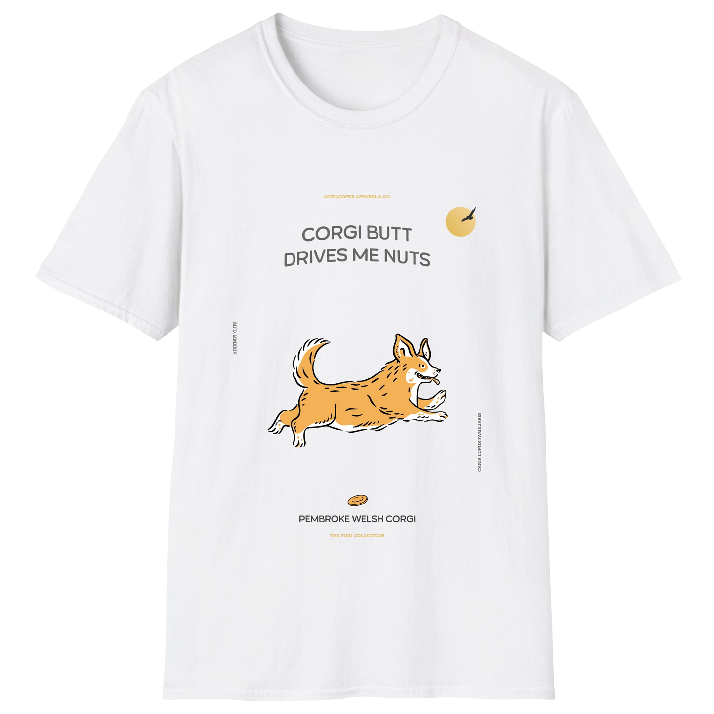 flatlay-fido-pembroke_welsh_corgi-white