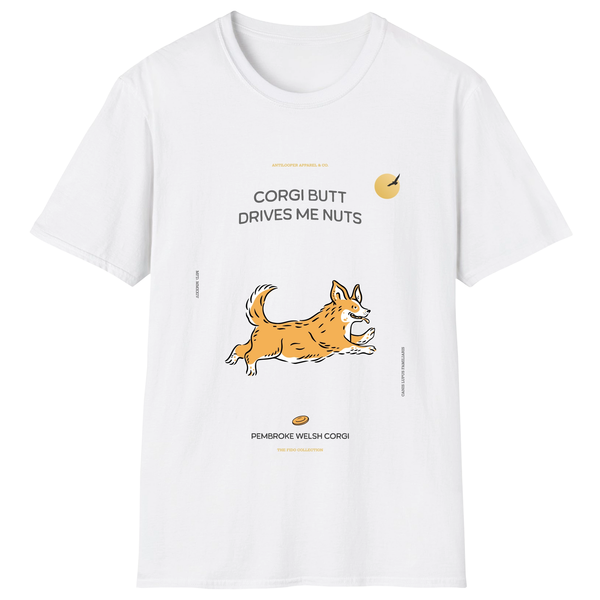 flatlay-fido-pembroke_welsh_corgi-white