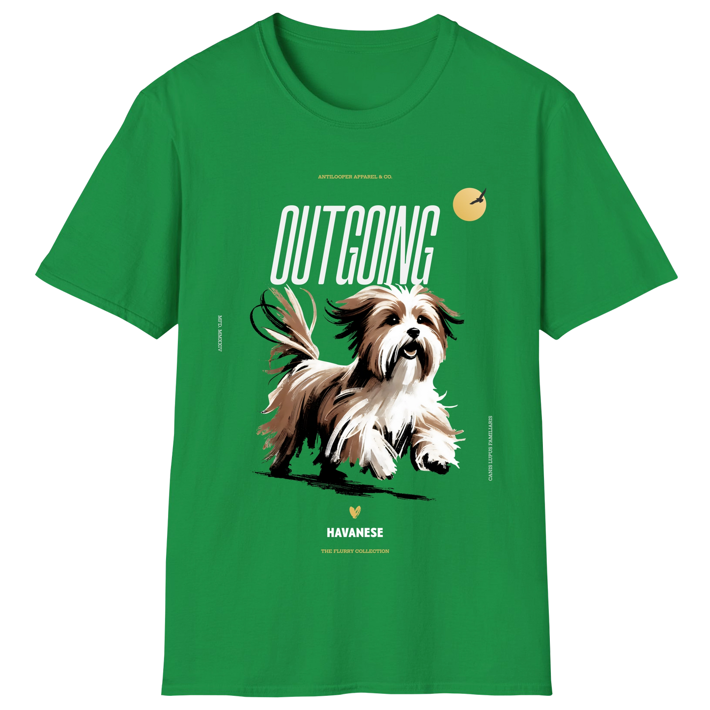 flatlay-flurry-havanese-irish_green