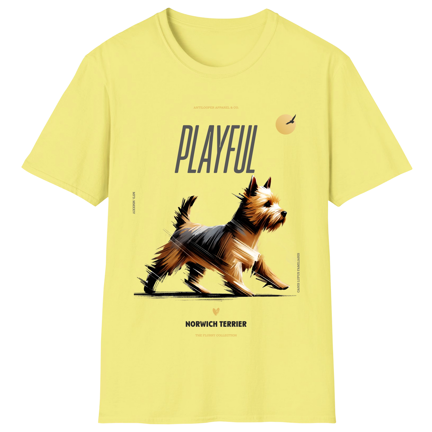 flatlay-flurry-norwich_terrier-cornsilk