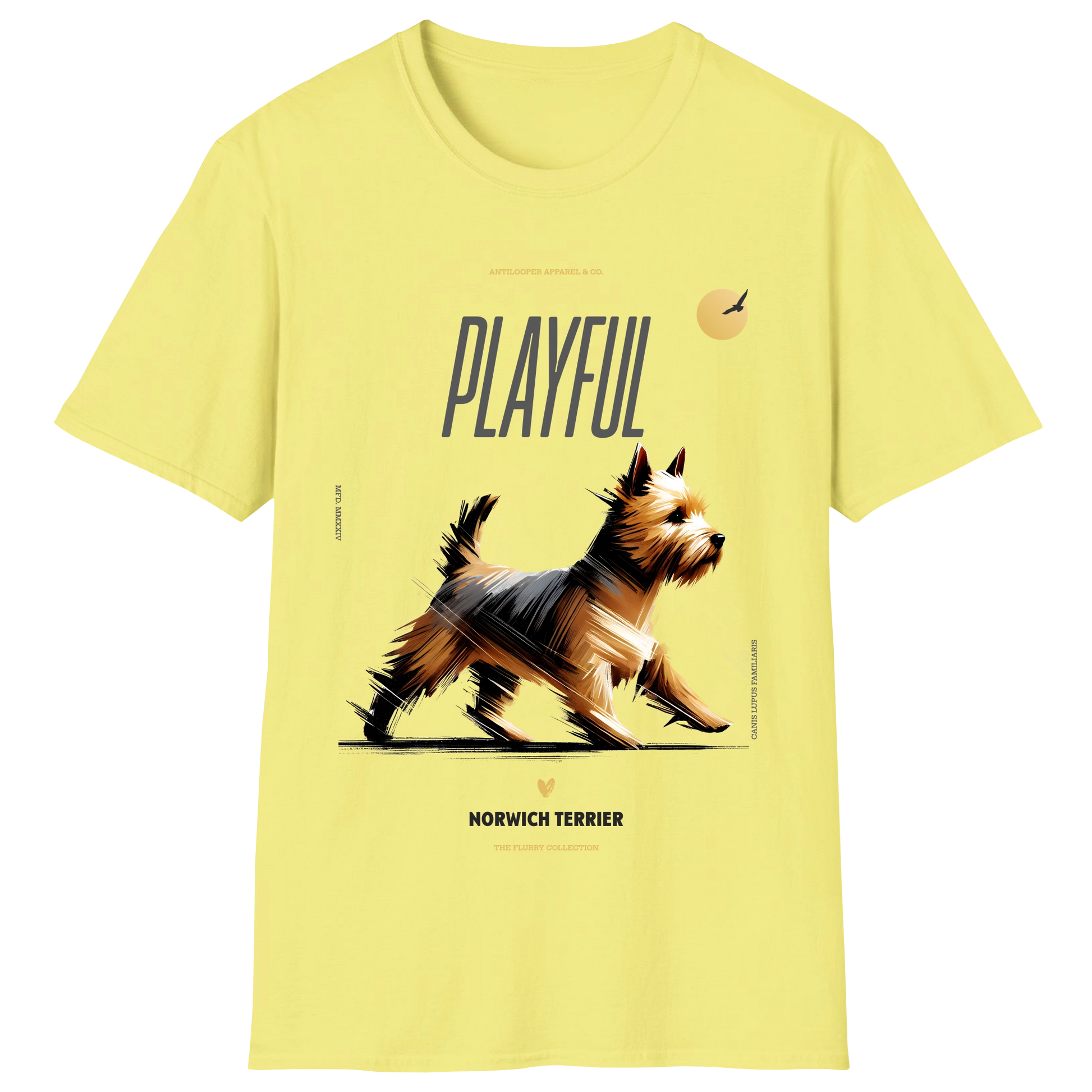 flatlay-flurry-norwich_terrier-cornsilk