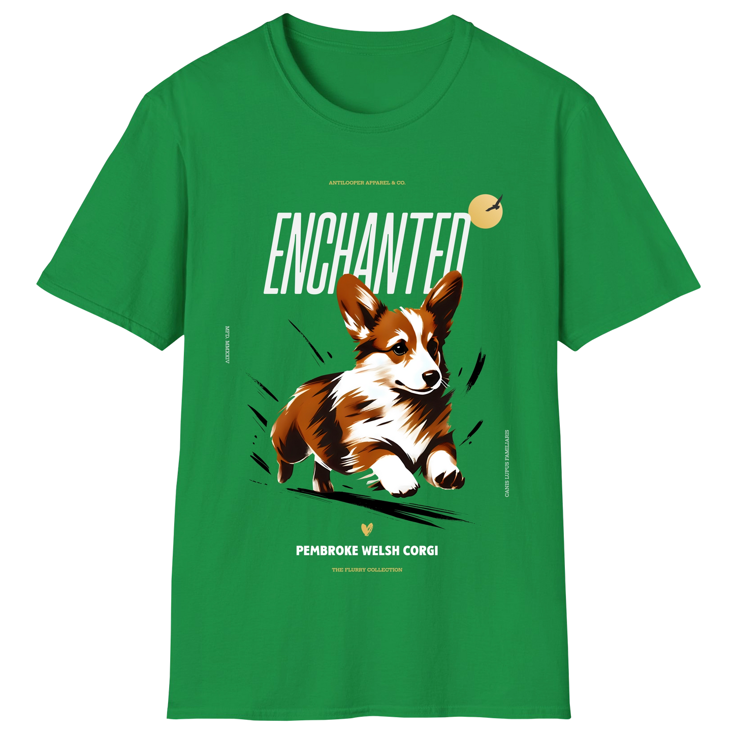 flatlay-flurry-pembroke_welsh_corgi-docked-irish_green