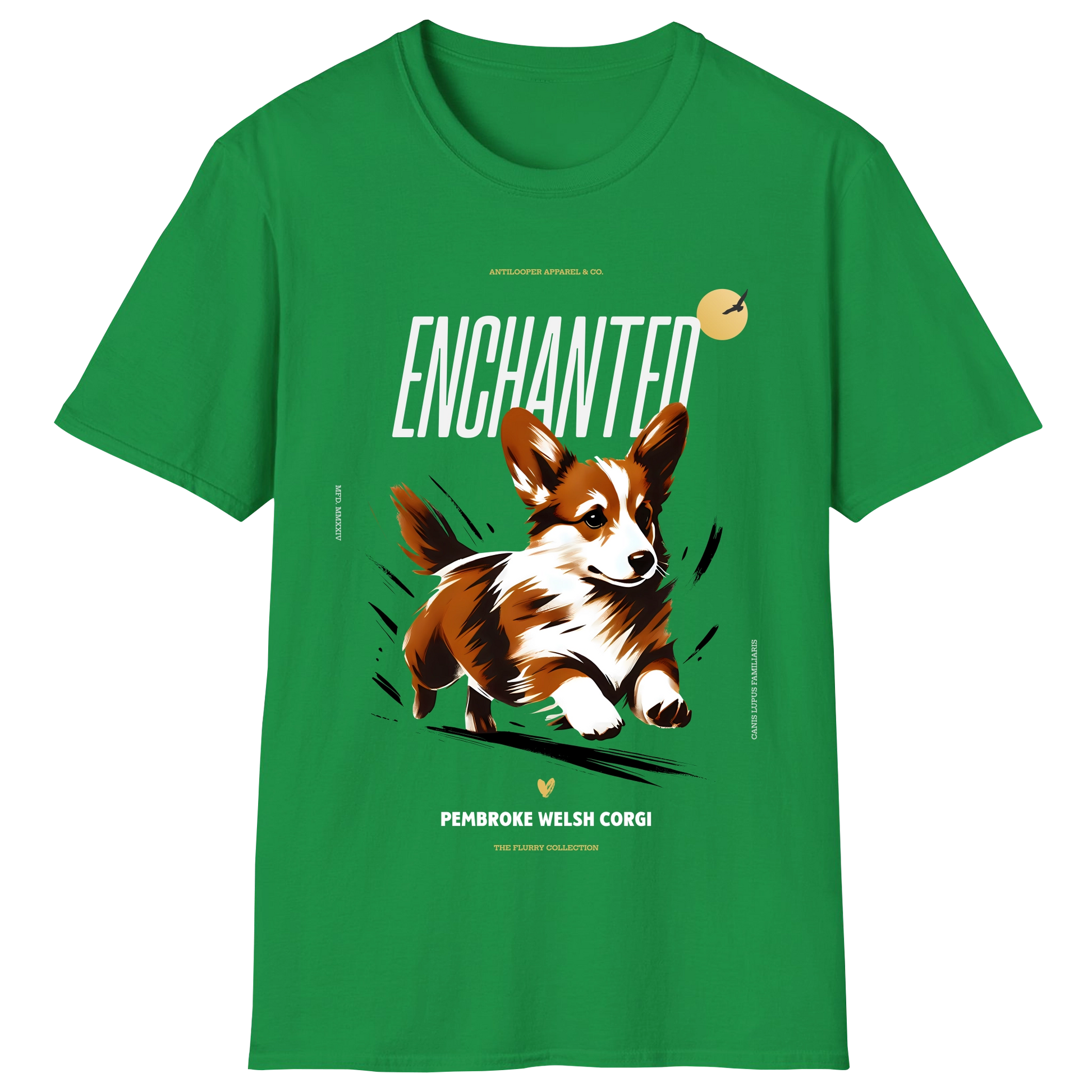 flatlay-flurry-pembroke_welsh_corgi-natural-irish_green