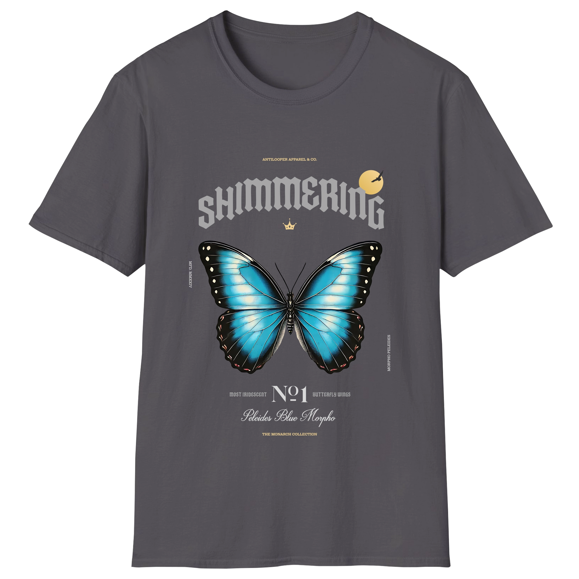 flatlay-monarch-peleides_blue_morpho-charcoal